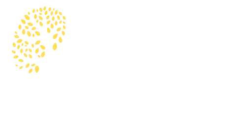Esprit Futé